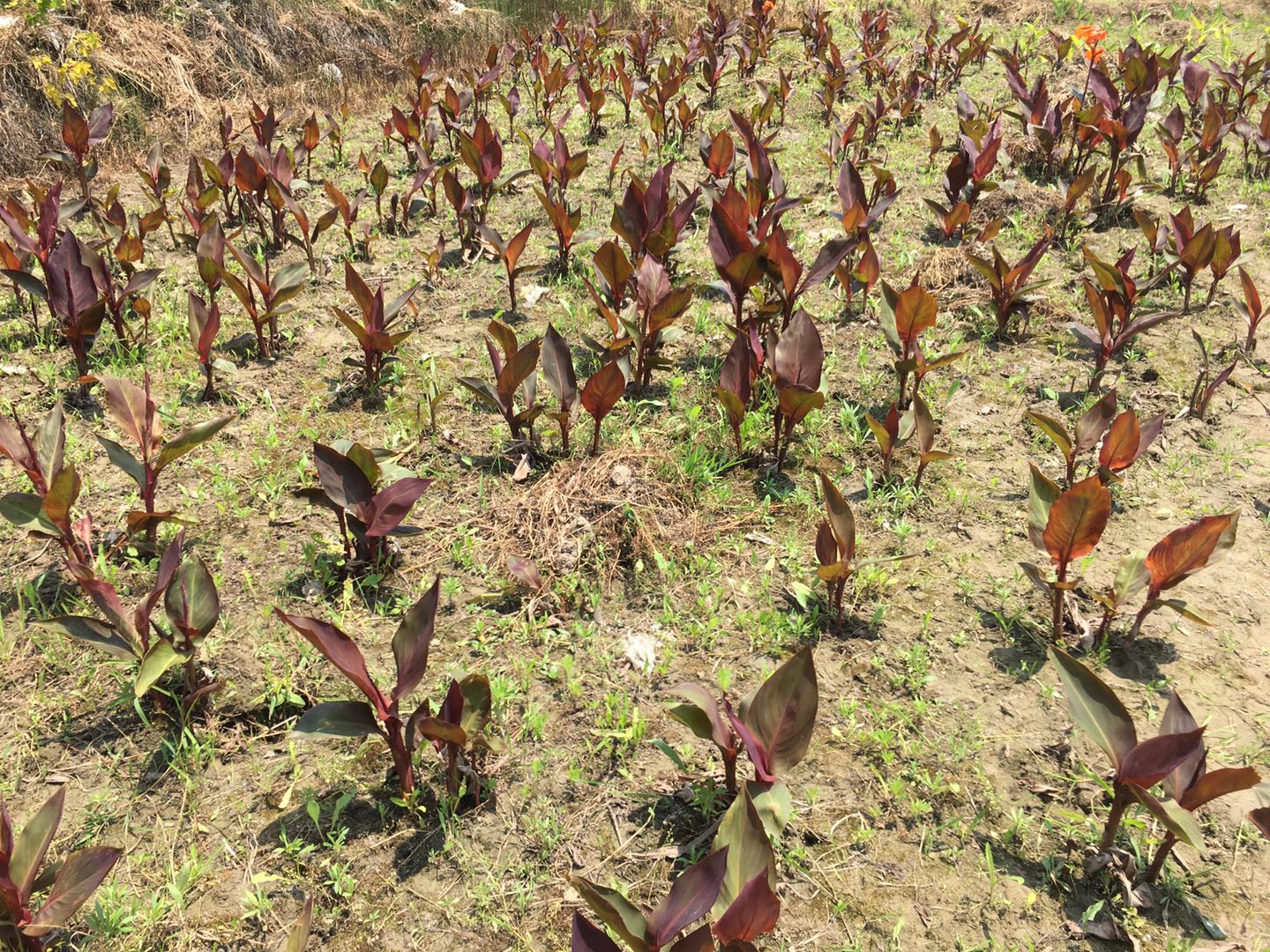 未来10年内，环保产业高速增长态...